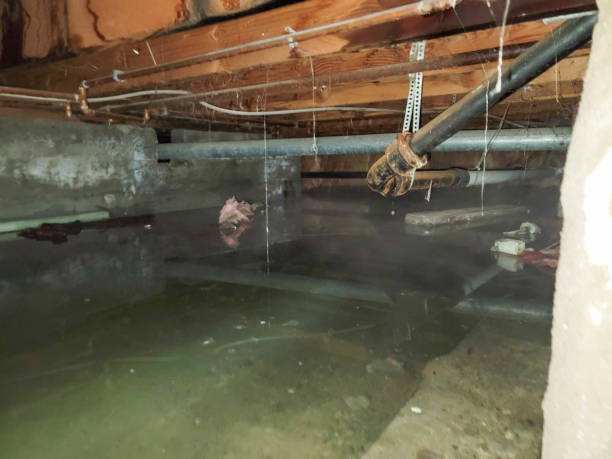 Best Emergency water damage restoration  in Bellville, TX