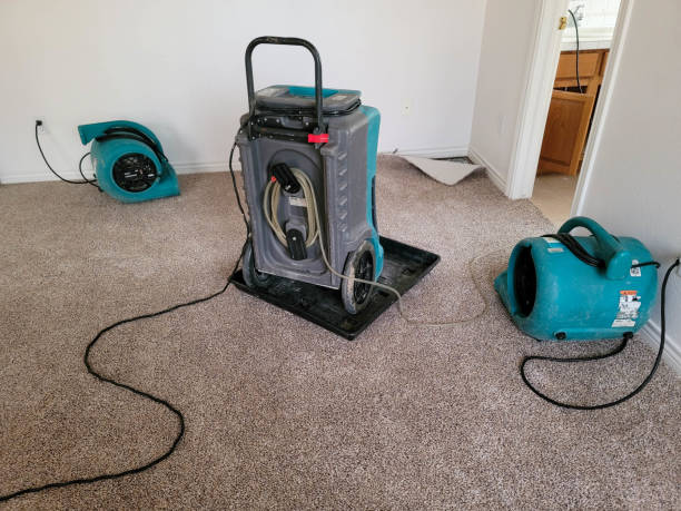 Best 24-hour water damage restoration  in Bellville, TX