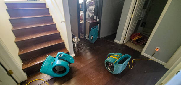 Best 24/7 water damage repair  in Bellville, TX
