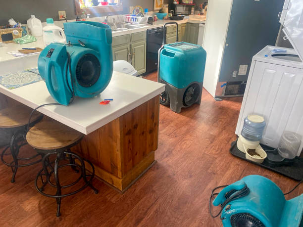 Best Sewage cleanup and water damage restoration  in Bellville, TX