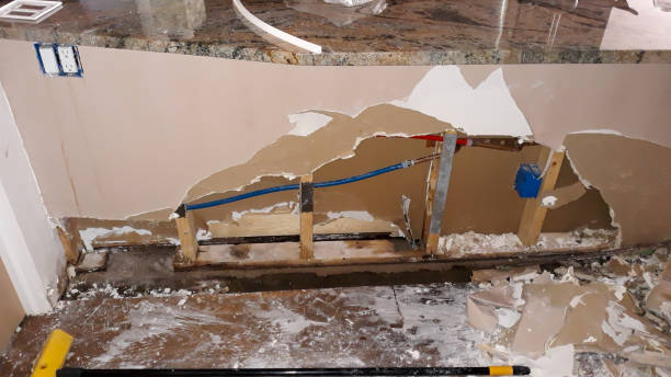 Best Mold removal after water damage  in Bellville, TX