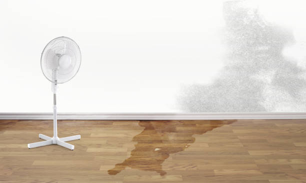 Best Water damage restoration experts  in Bellville, TX