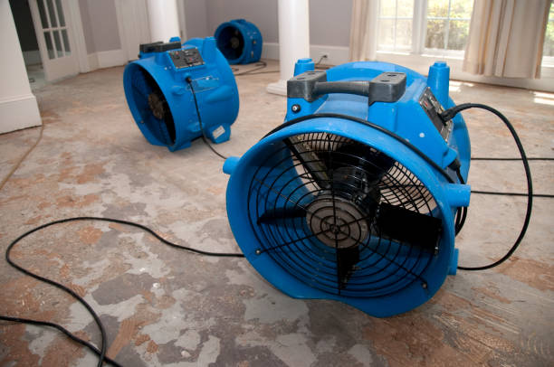 Best Residential water damage restoration  in Bellville, TX